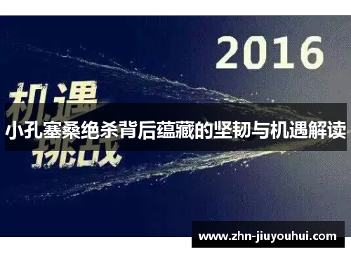 小孔塞桑绝杀背后蕴藏的坚韧与机遇解读 小孔塞桑绝杀背后蕴藏的坚韧与机遇解读