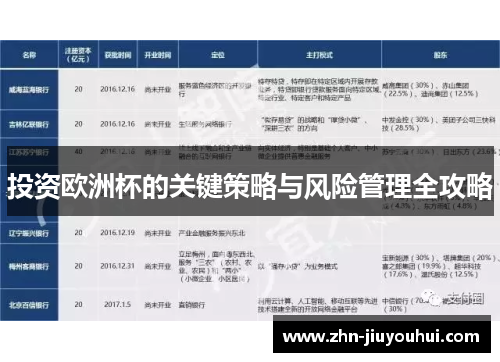 投资欧洲杯的关键策略与风险管理全攻略