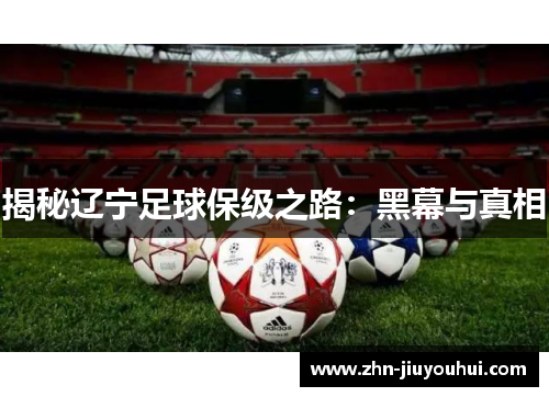 揭秘辽宁足球保级之路：黑幕与真相