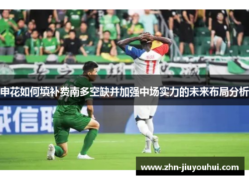 申花如何填补费南多空缺并加强中场实力的未来布局分析